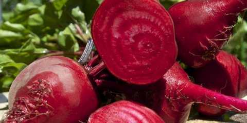 Při kopání řepy pro skladování s lůžky v roce 2021?